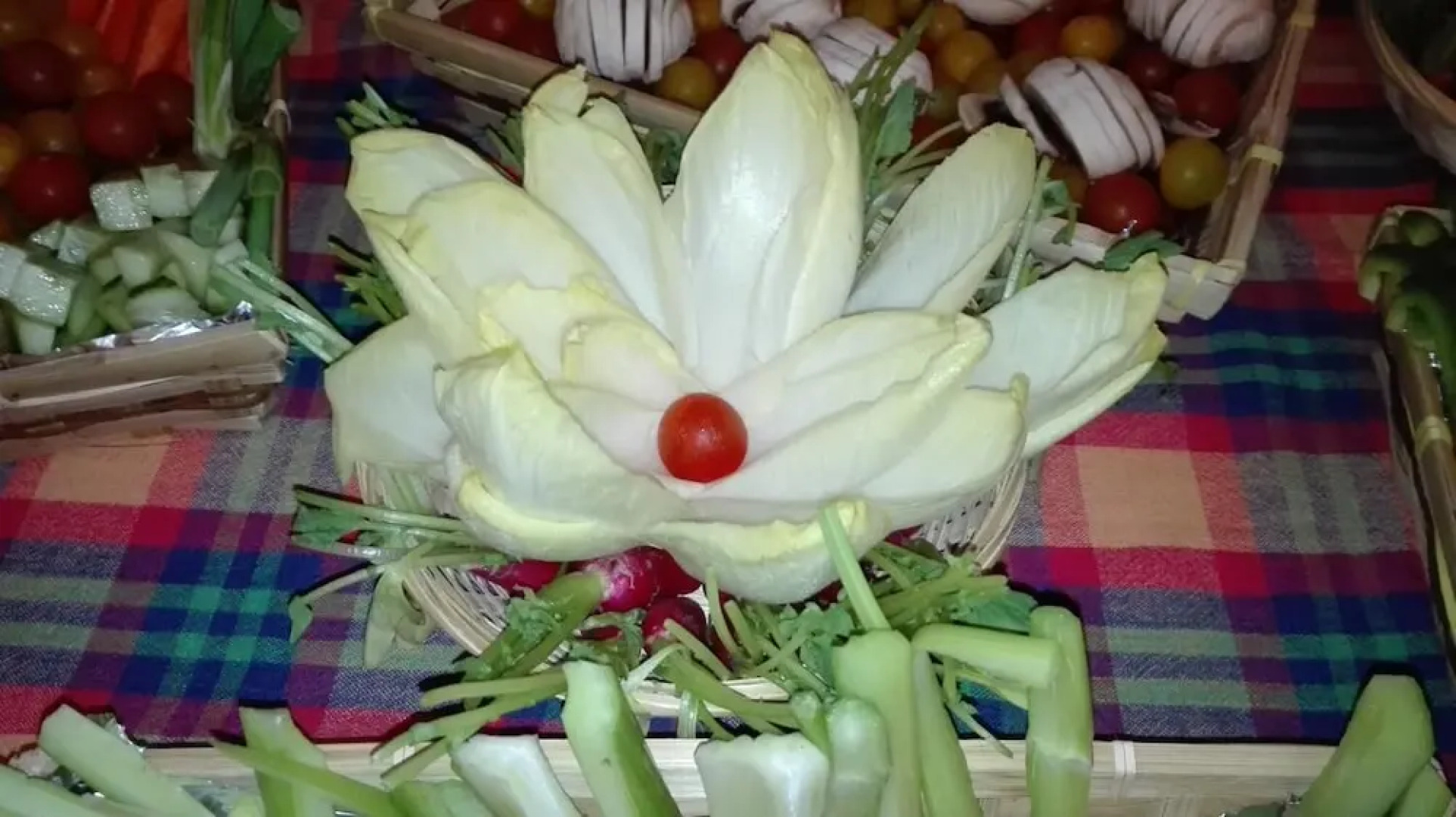 Oliveraie de la Leuziere