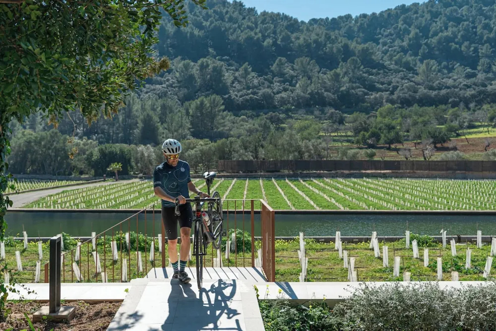 Rondaia Boutique Vineyard Stay – Mallorca, Tramuntana