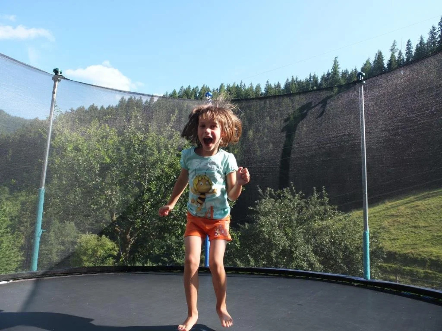 Gästehaus Biobauernhof Mandl