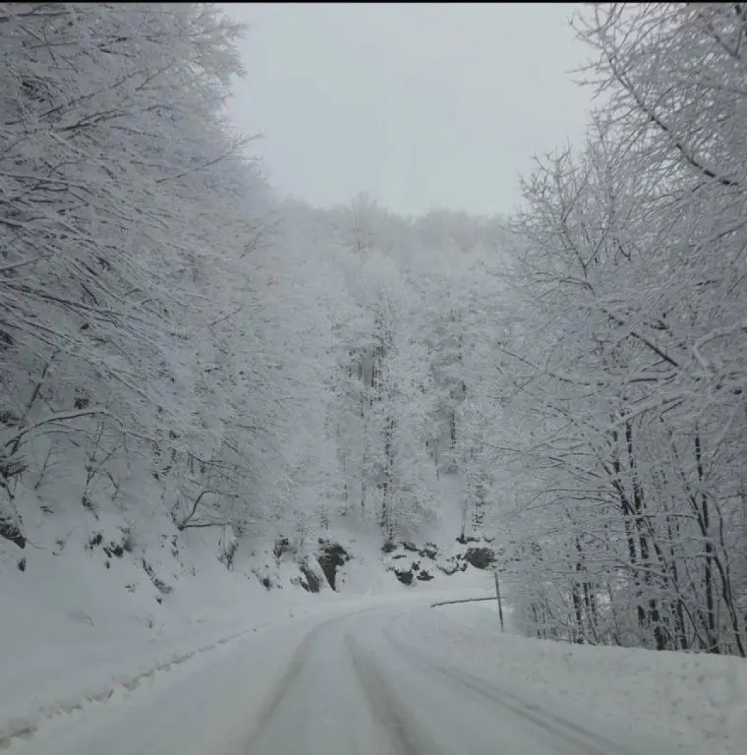 Apartman Marta Divčibare