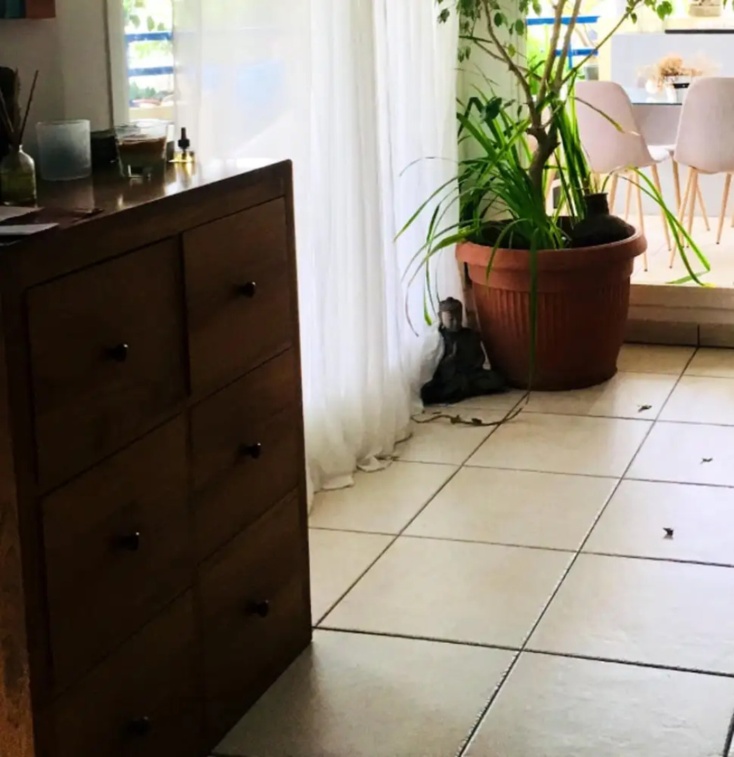 Apartment with 3 Bedrooms in Saint-Gilles Les Bains, with Furnished Terrace And Wifi - 2 Km From the Beach