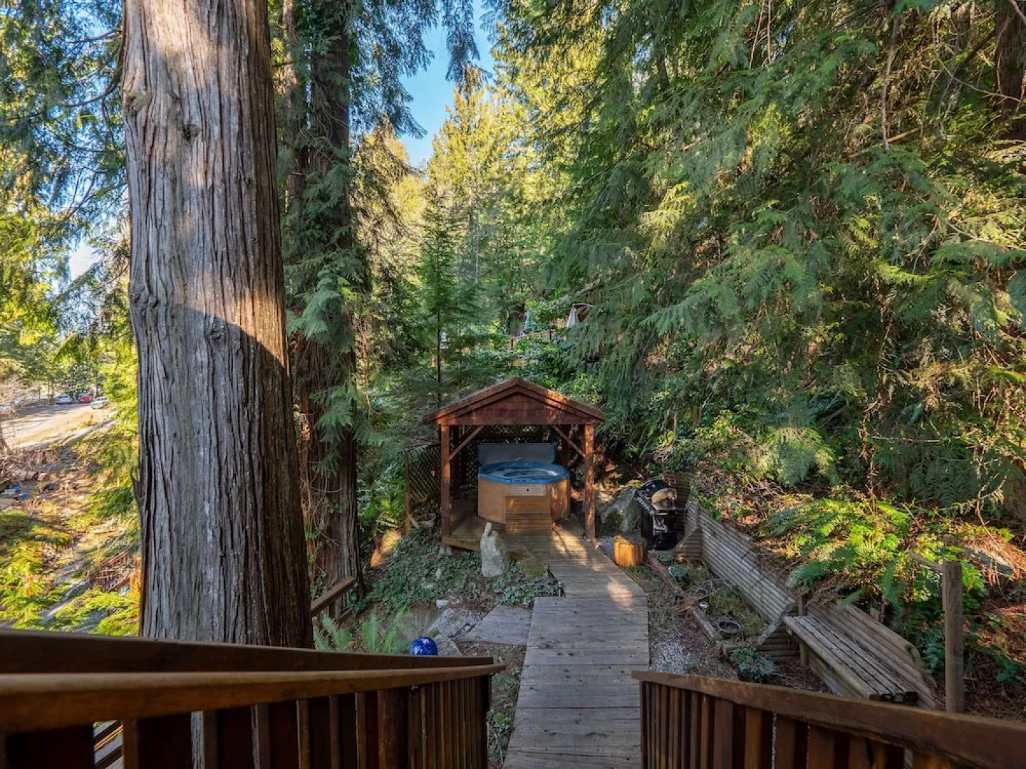 The Tree House Cottage