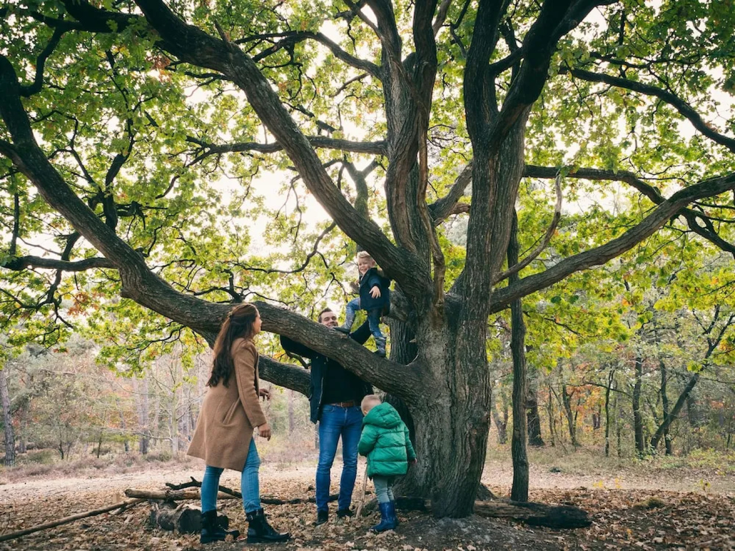 Comfortable Bungalow With Whirlpool Near the Vrachelse Heide