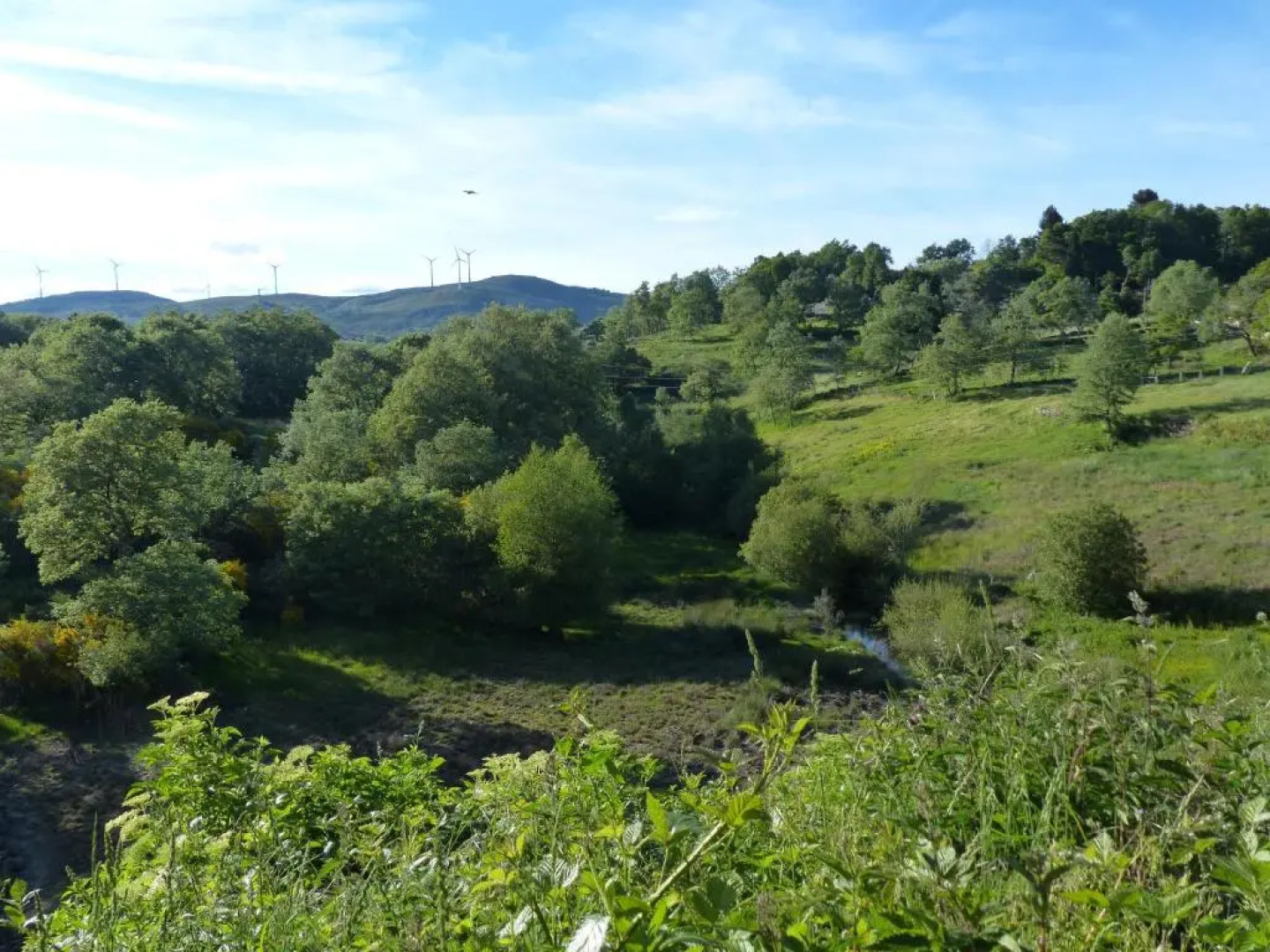 Casa do Alto Montalegre