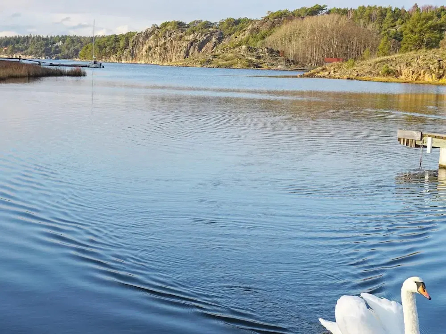 4 Person Holiday Home in Stromstad