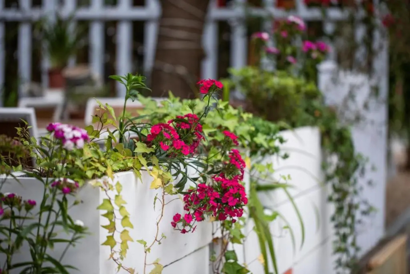 Ancient Street No.5 Youth Chic Hotel