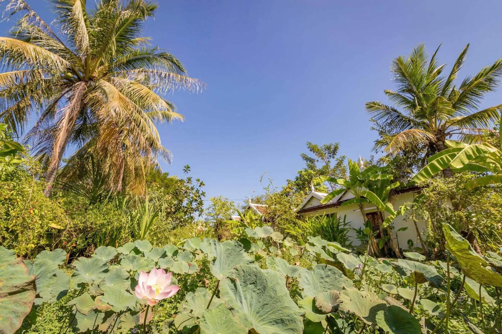 Sambor Village Hotel