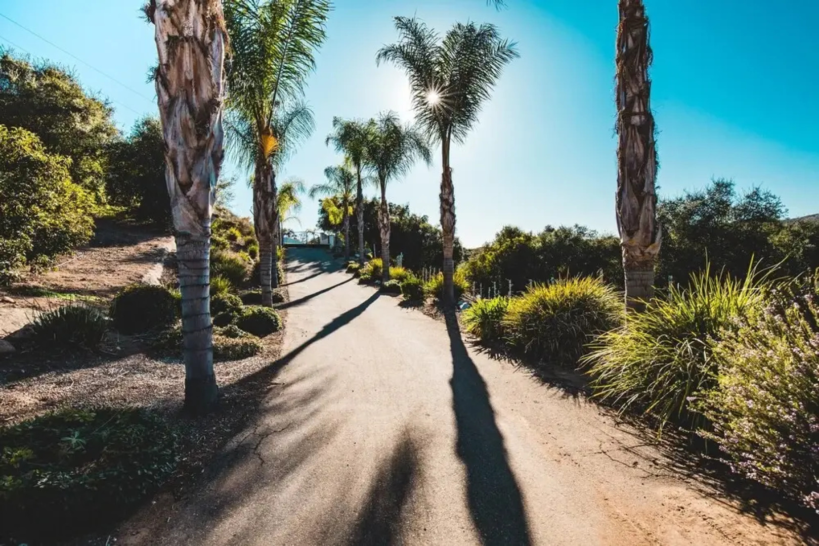 Grapevine by AvantStay | Secluded Villa | 4 Acres of Vineyards & Avo Groves!