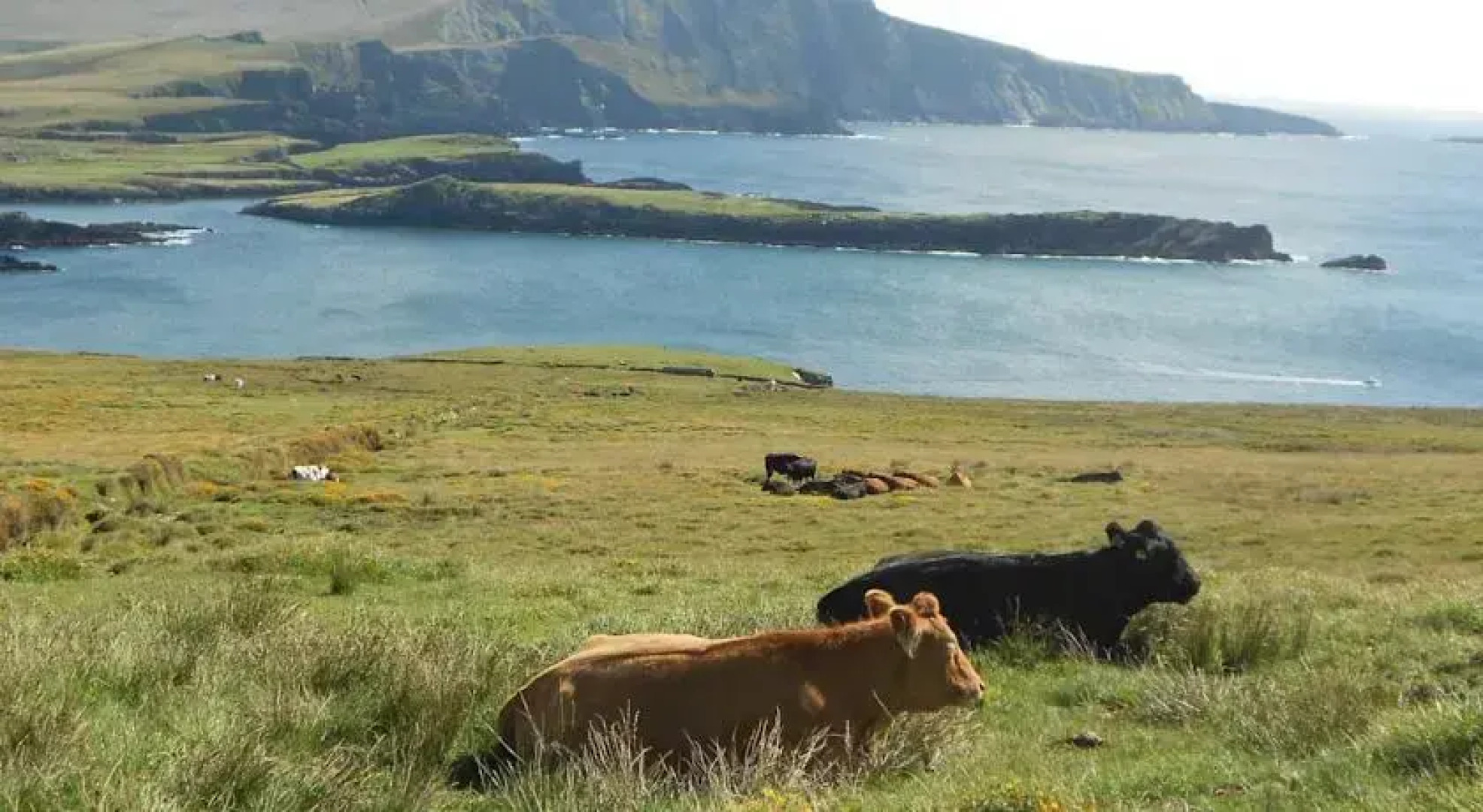 Glor Na Farriage Holiday Homes