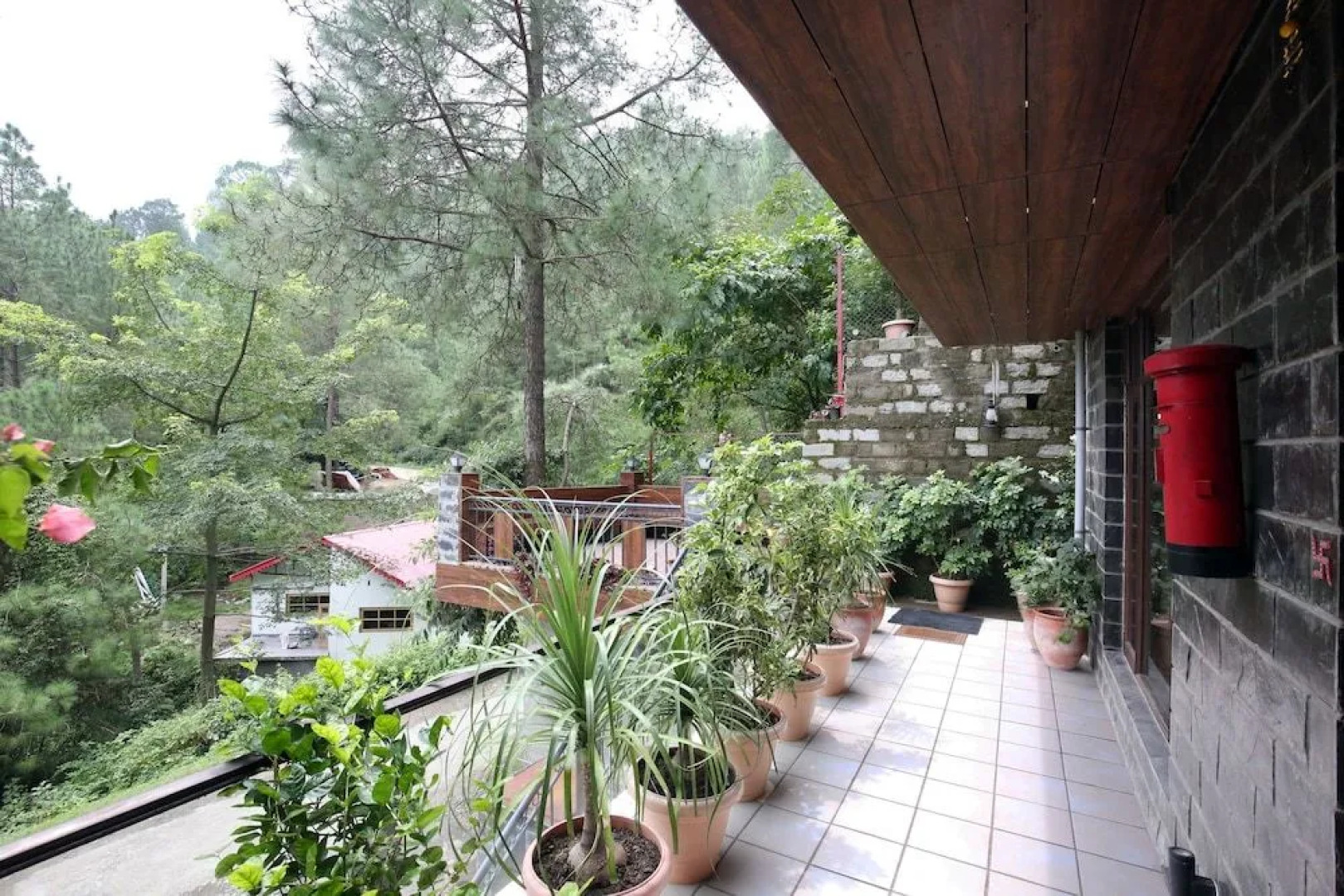 OYO 9308 Home Valley View 2 BHK Villa Near Kasauli