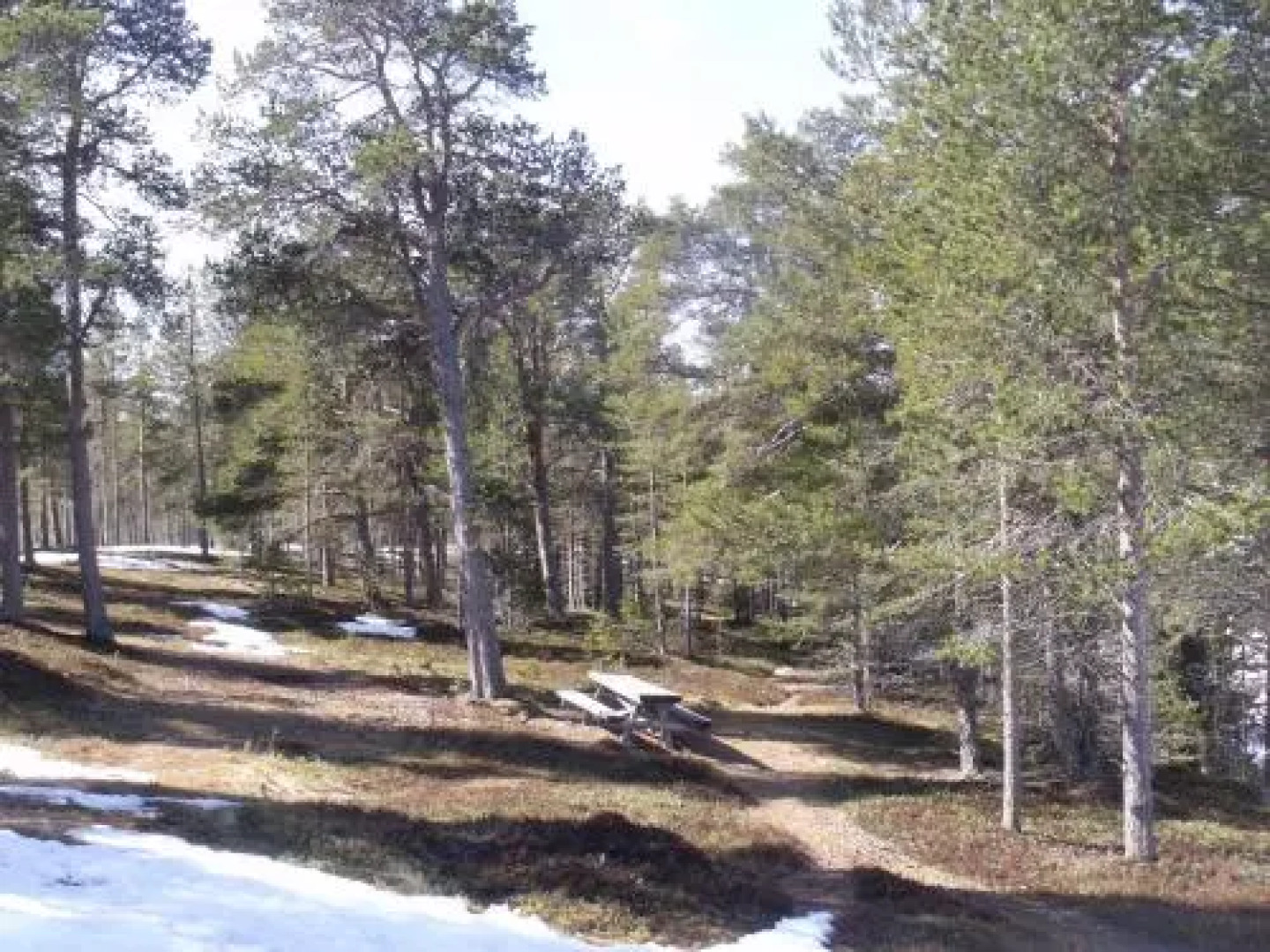 Femund Nasjonalparkhotell