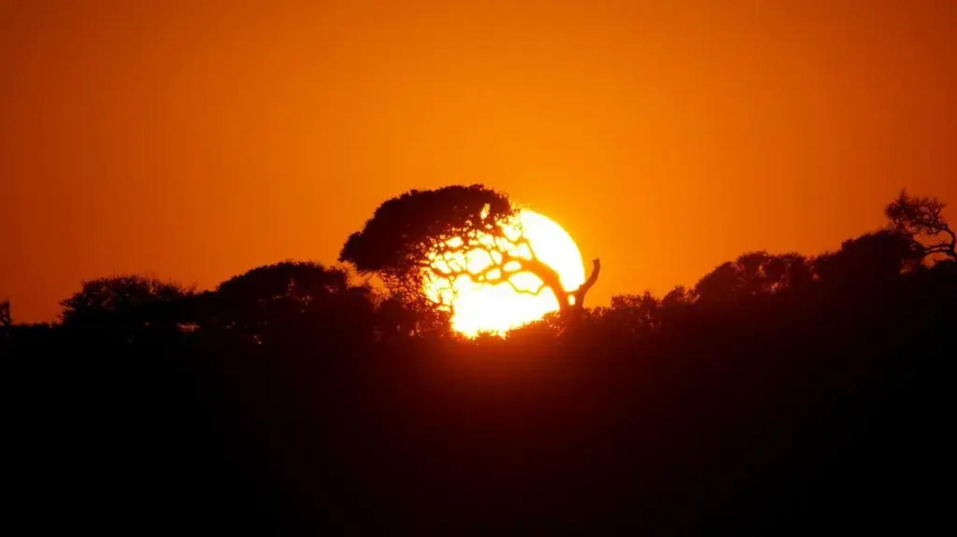 Sunshine Surf Morocco