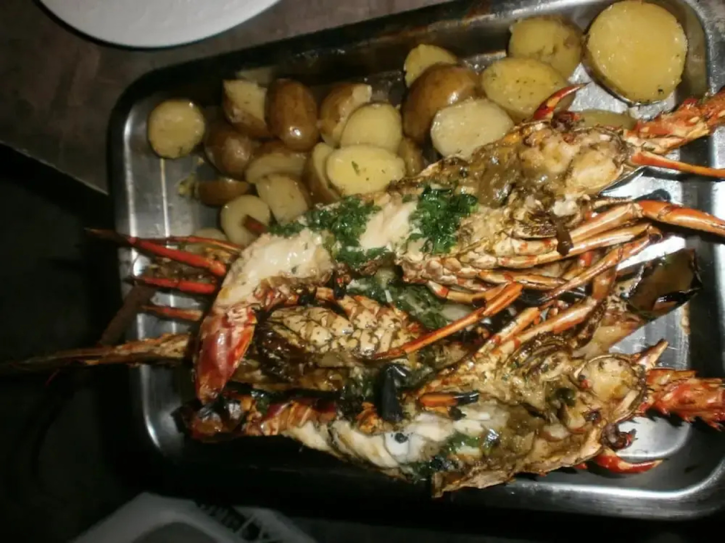 Guesthouse Villa la Isla