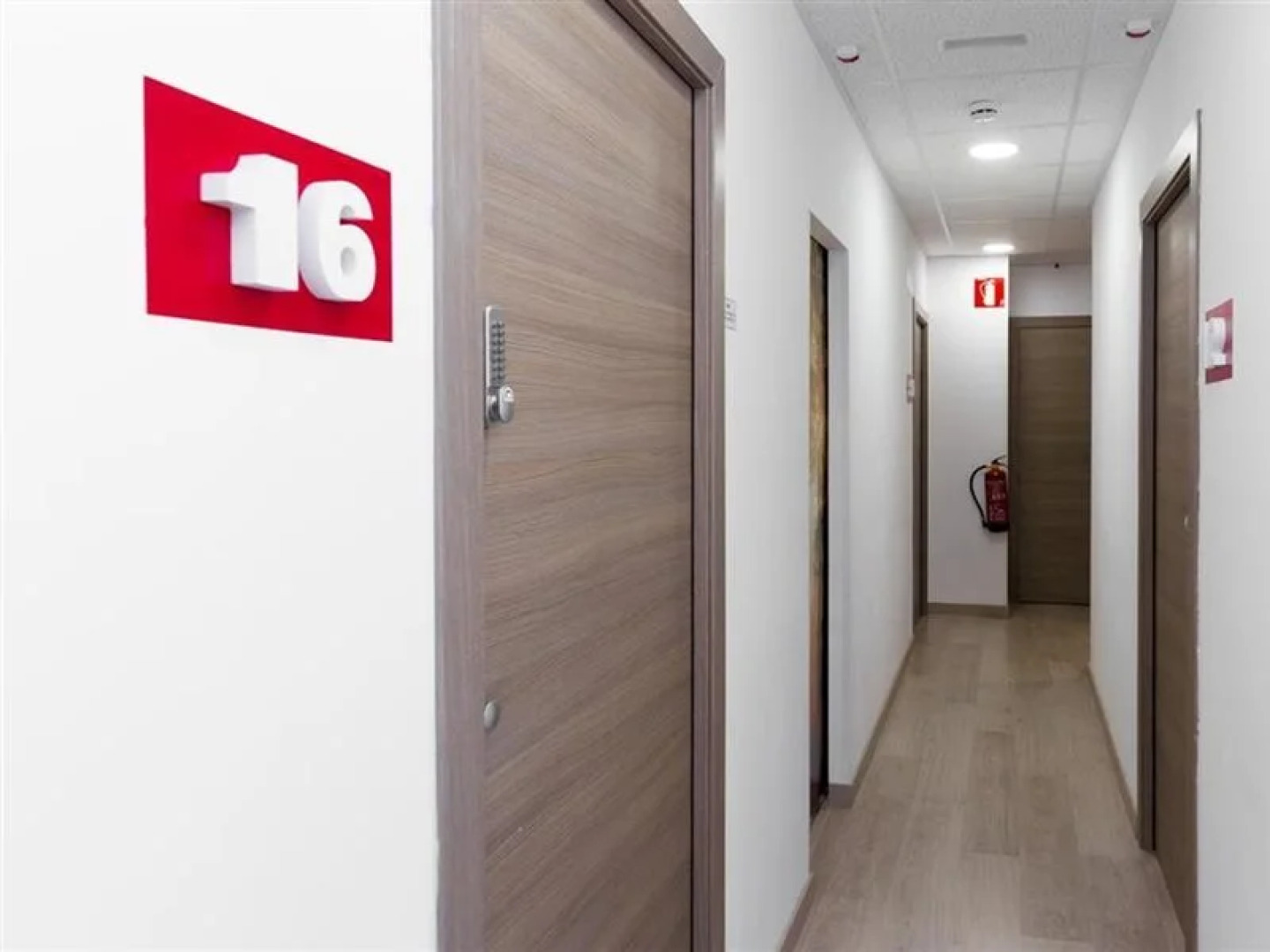 Brustar Sagrada Familia