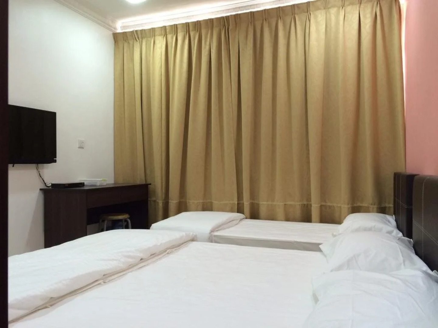 Lazy Bear Sleeping Place