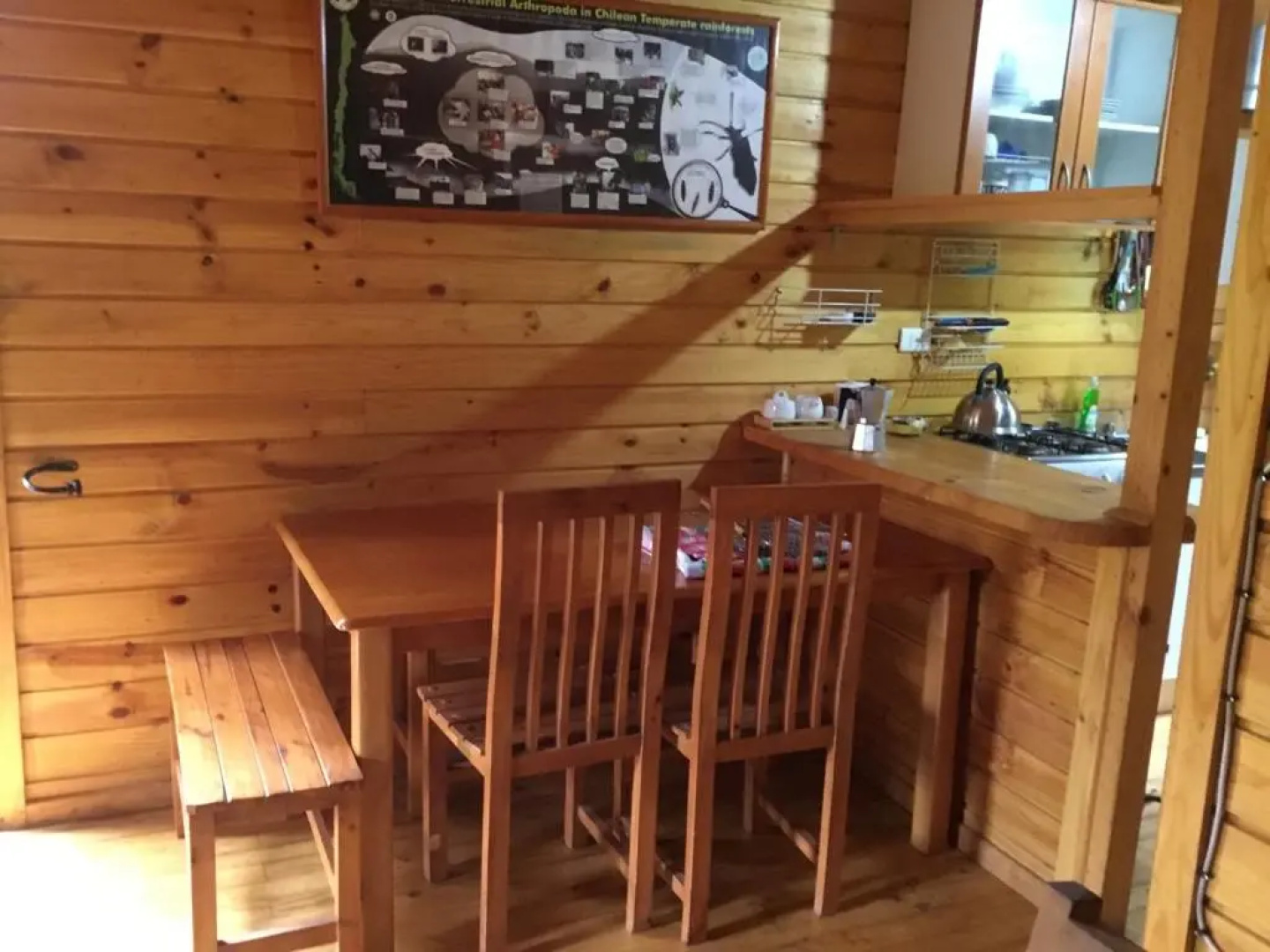 Don Guillermo Cabins