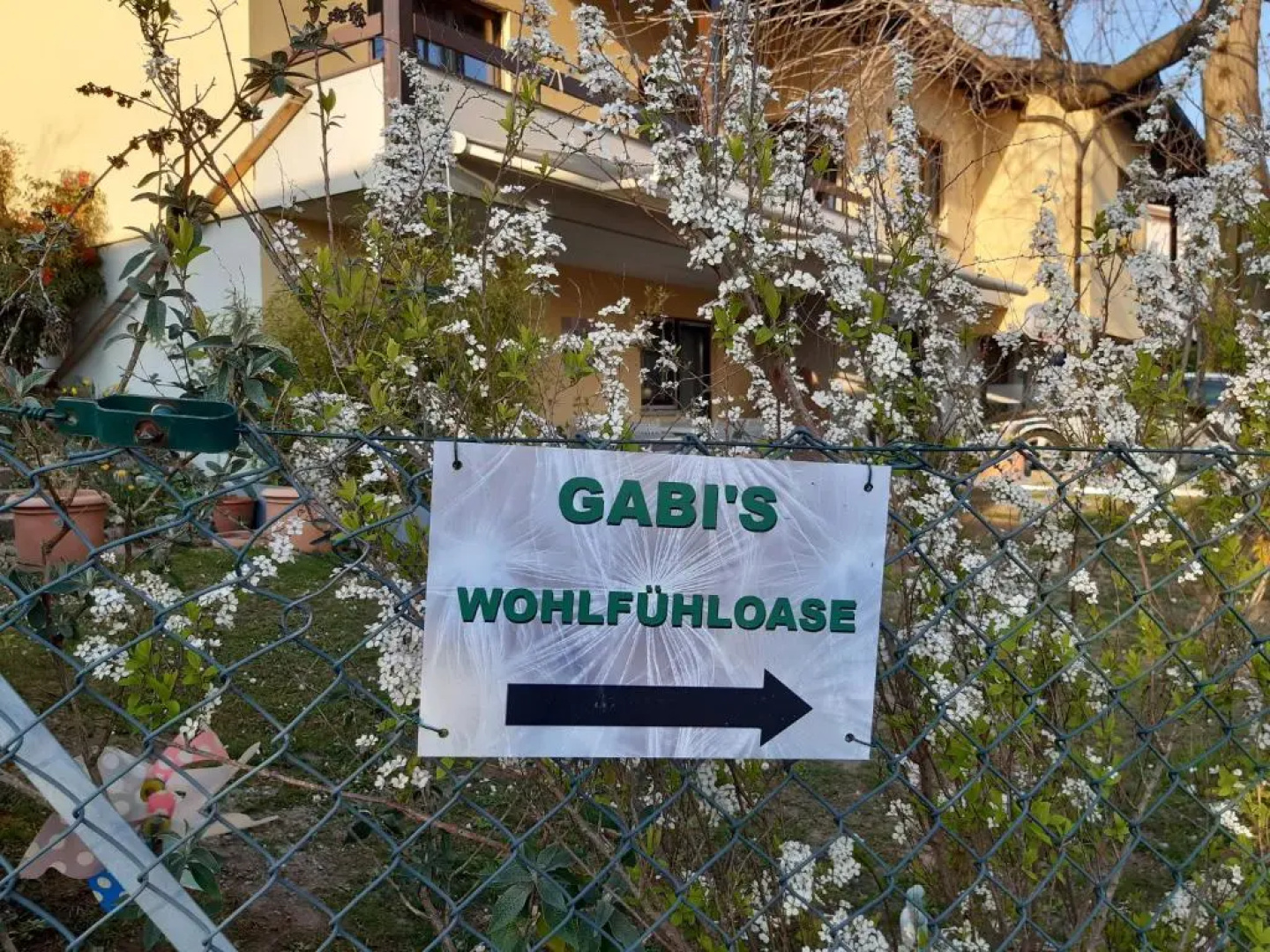 Gabi's Wolfühloase