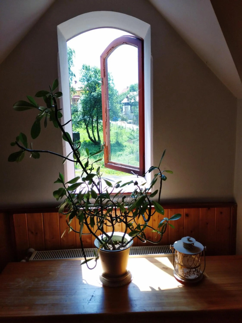 Penzion U Lucerny s malou farmičkou