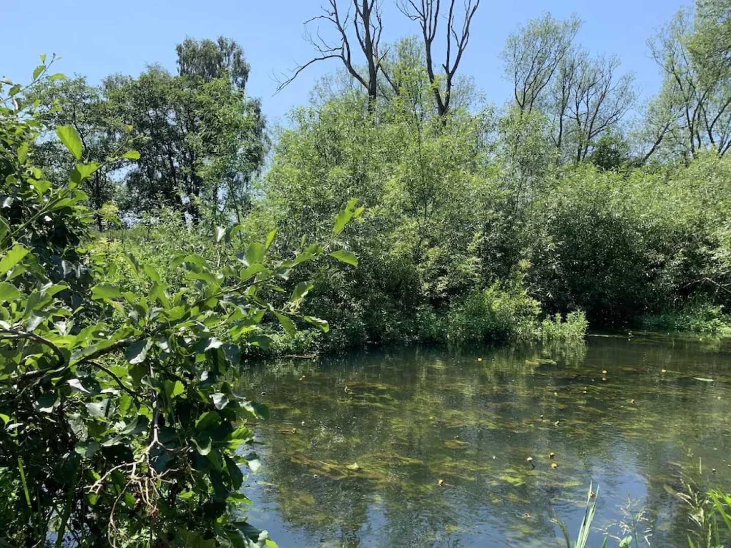 Wensum Glamping