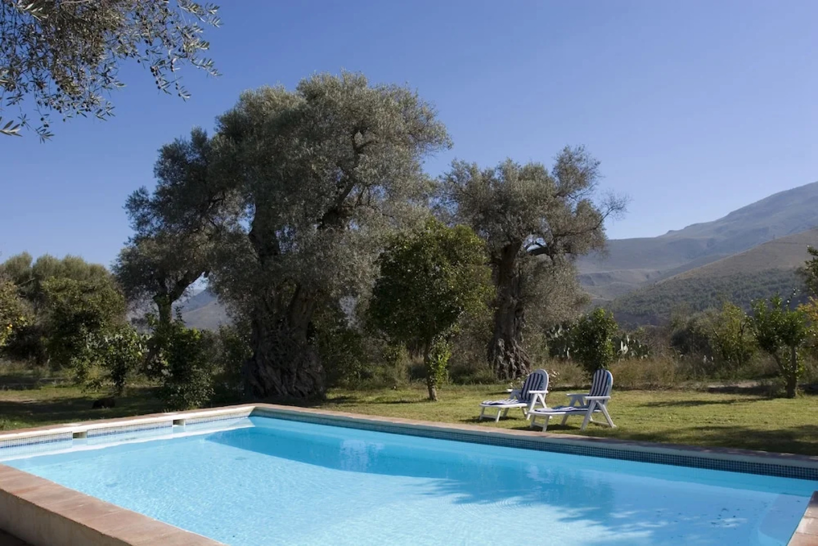 Cortijo Puerta Lavanda