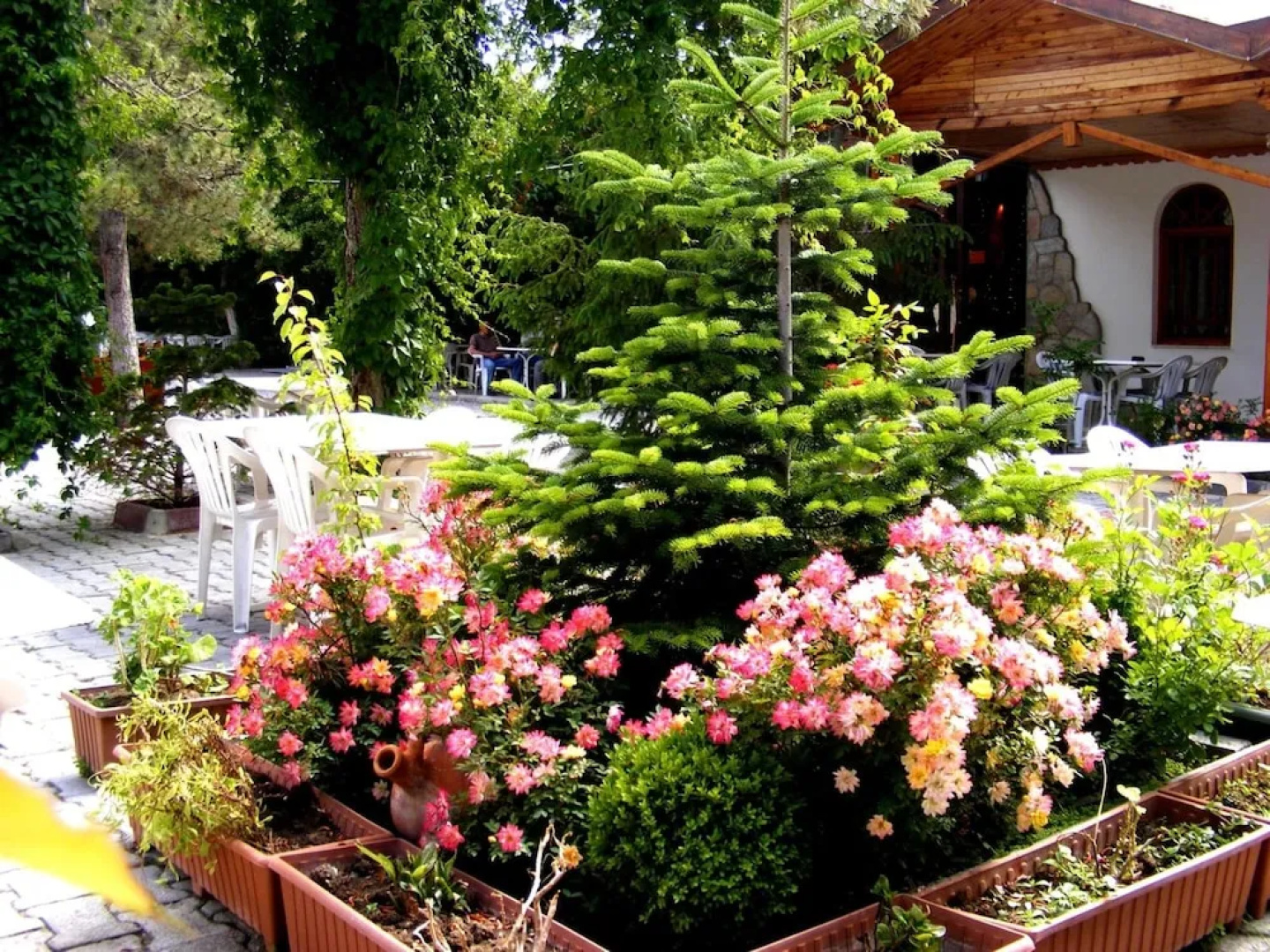 Hotel Asikoglu