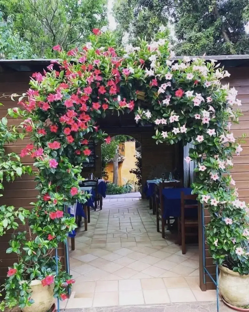 Affittacamere Il Girasole