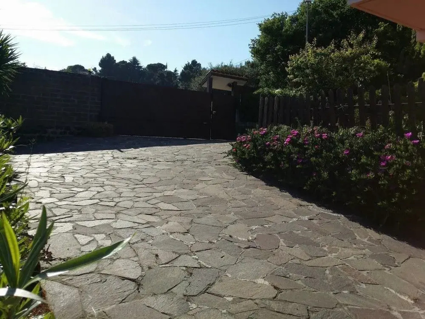 B&B Paradiso a 4 Zampe