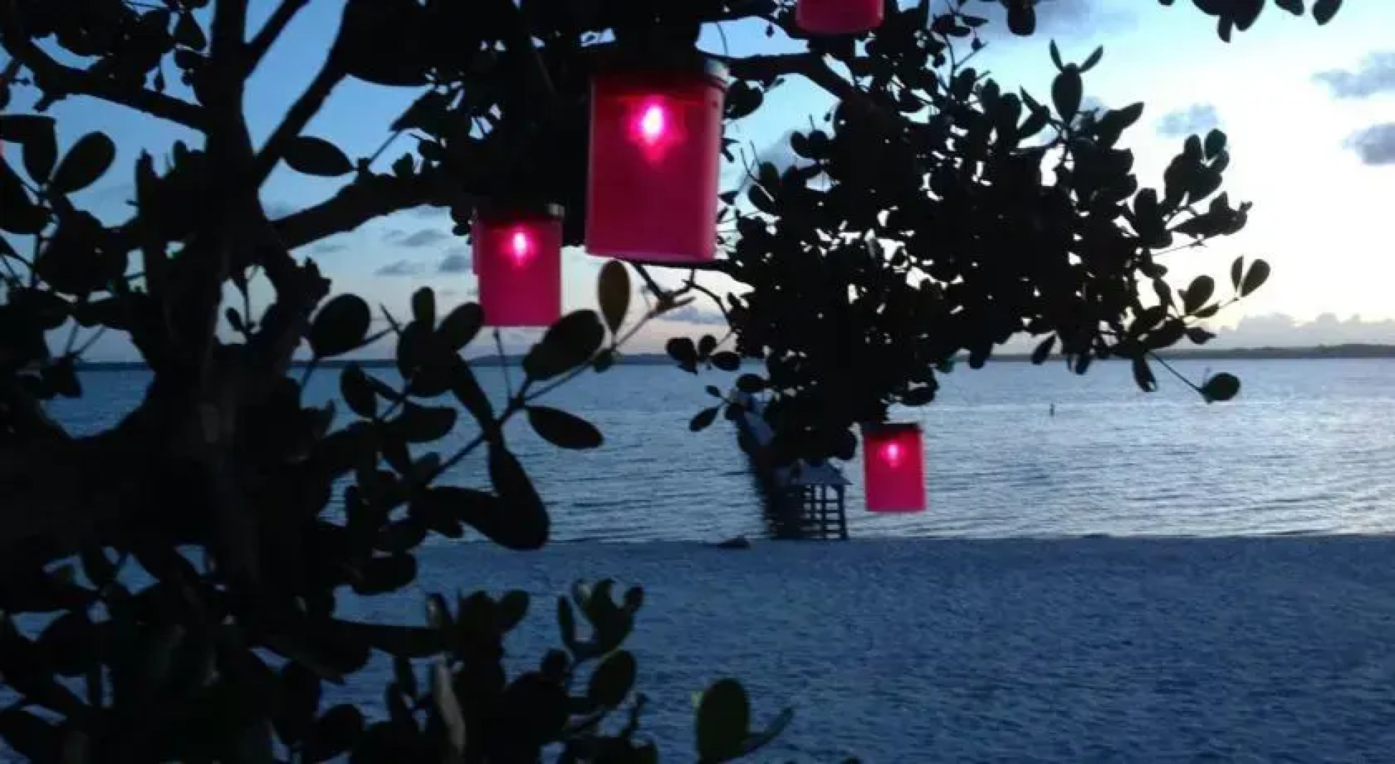 Hotel Pangalanes Jungle Nofy