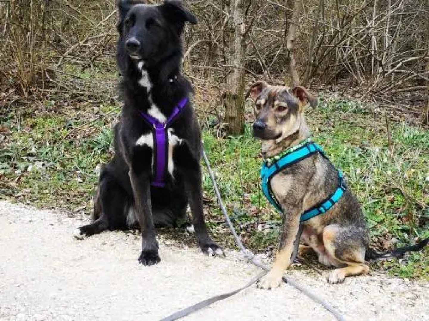 Apartment Familie Stuhr