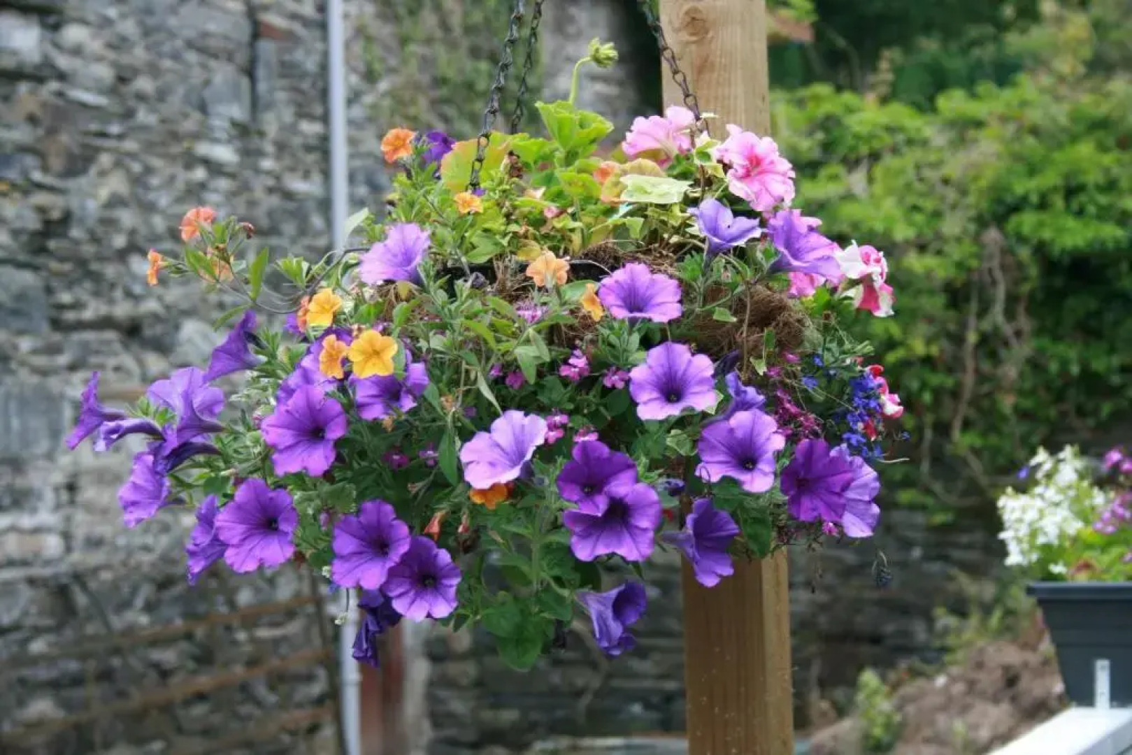 School House Cottage B&B