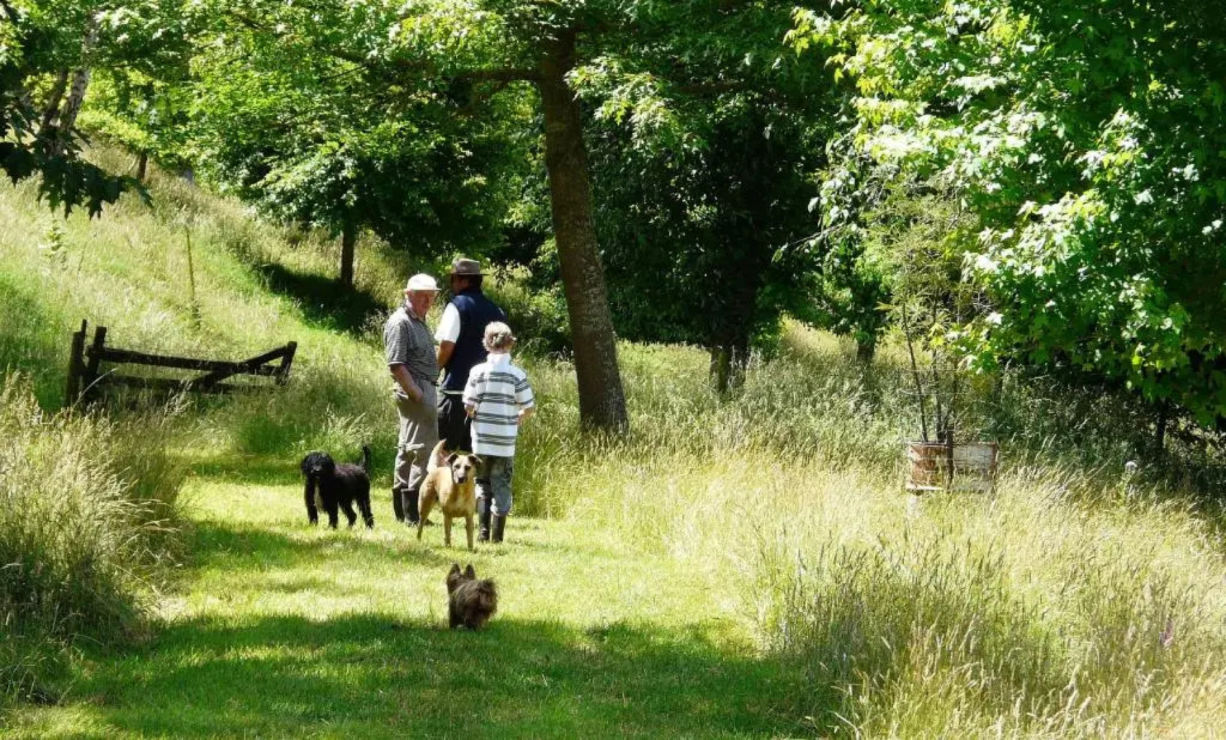 Orinoco Country Retreat