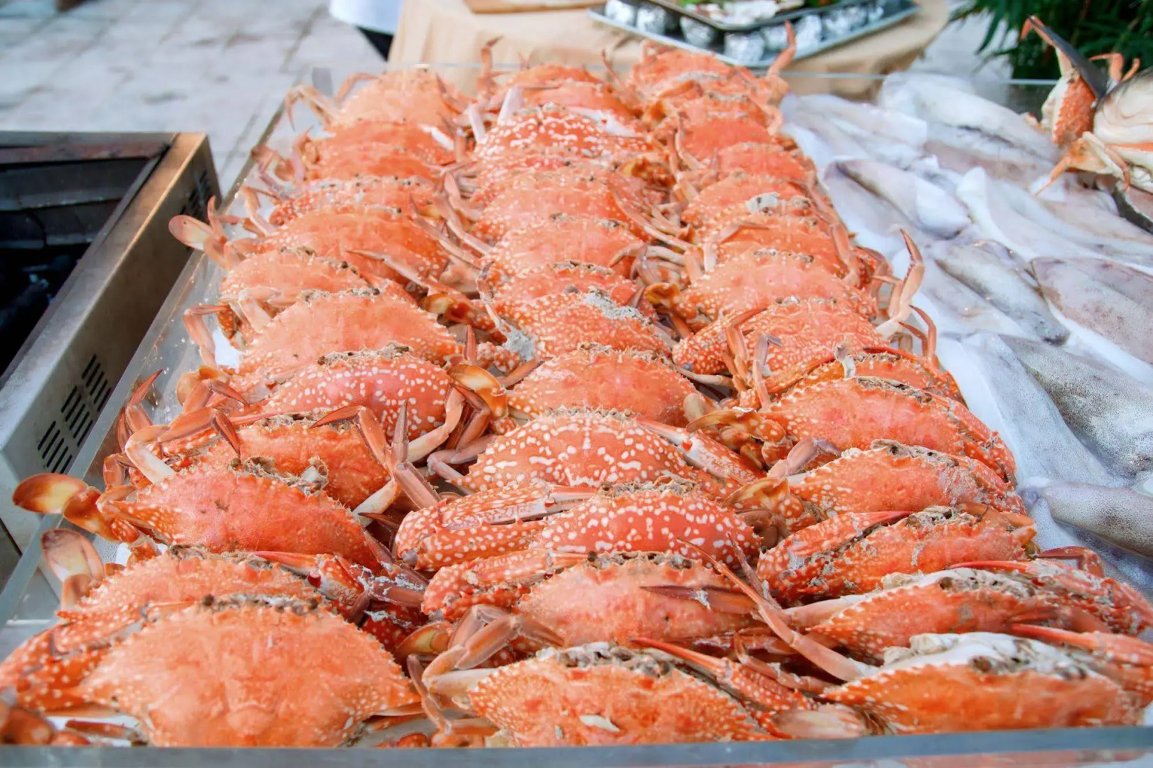 Villa Del Sol Beach resort & Spa