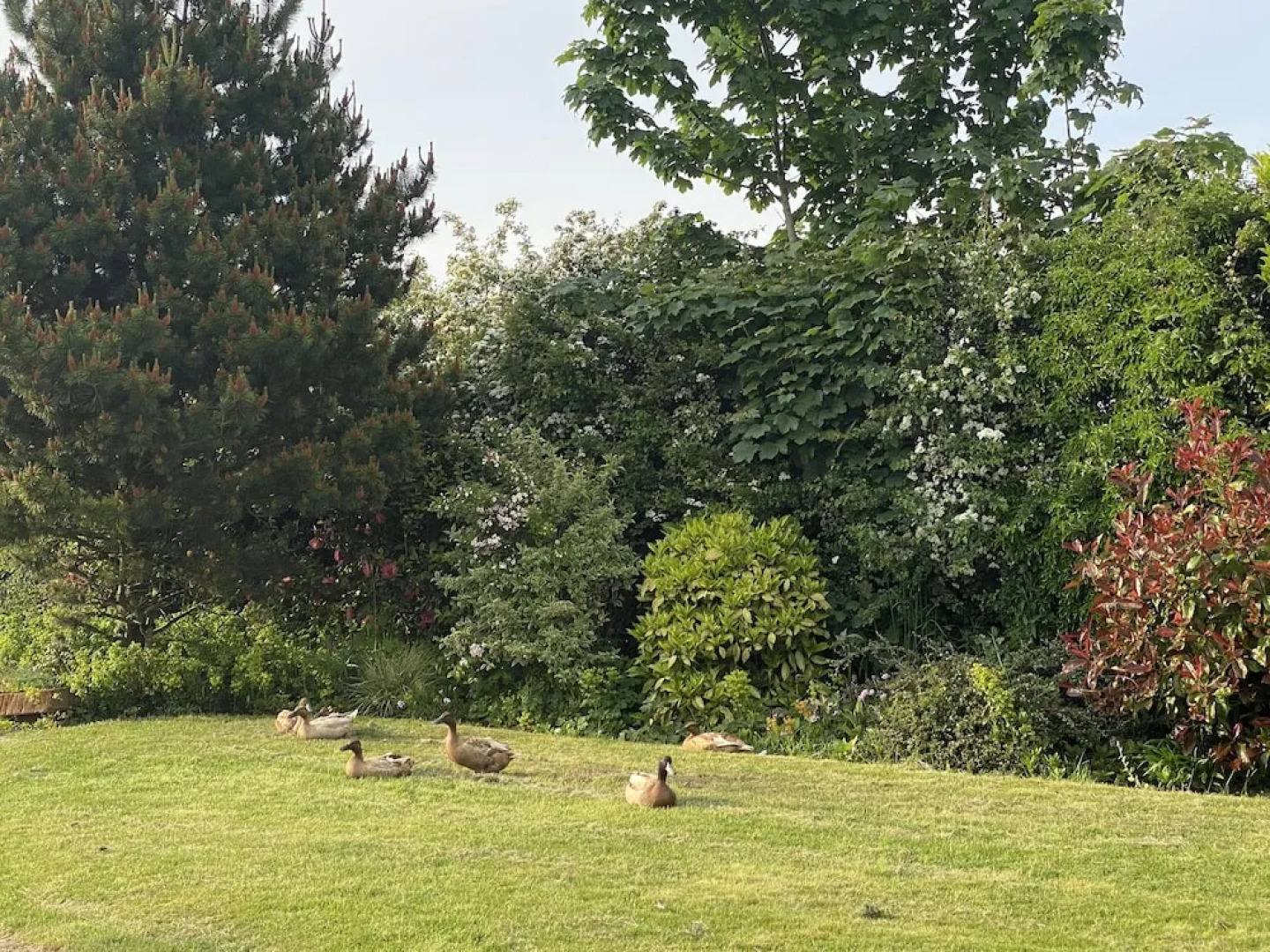 A Serene and Tranquil Escape for two