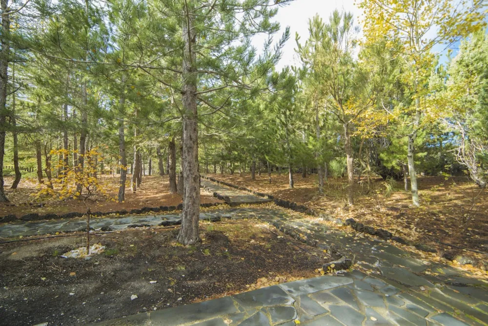 Residence Serra La Nave