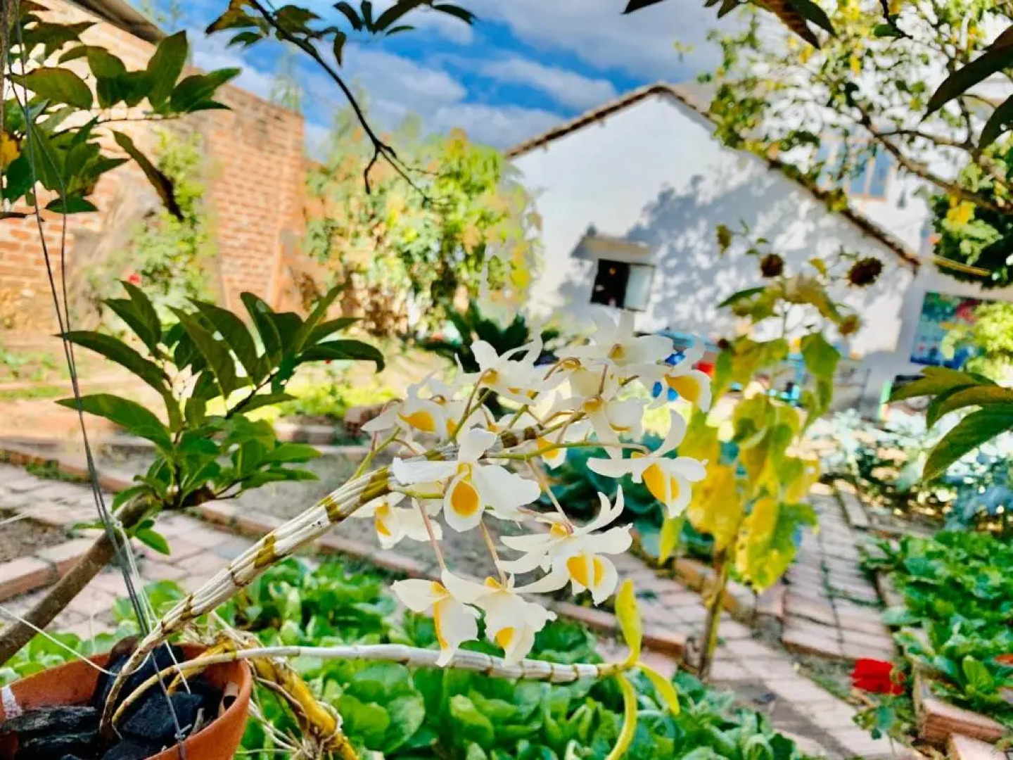 Vietnam Phuot Homestay