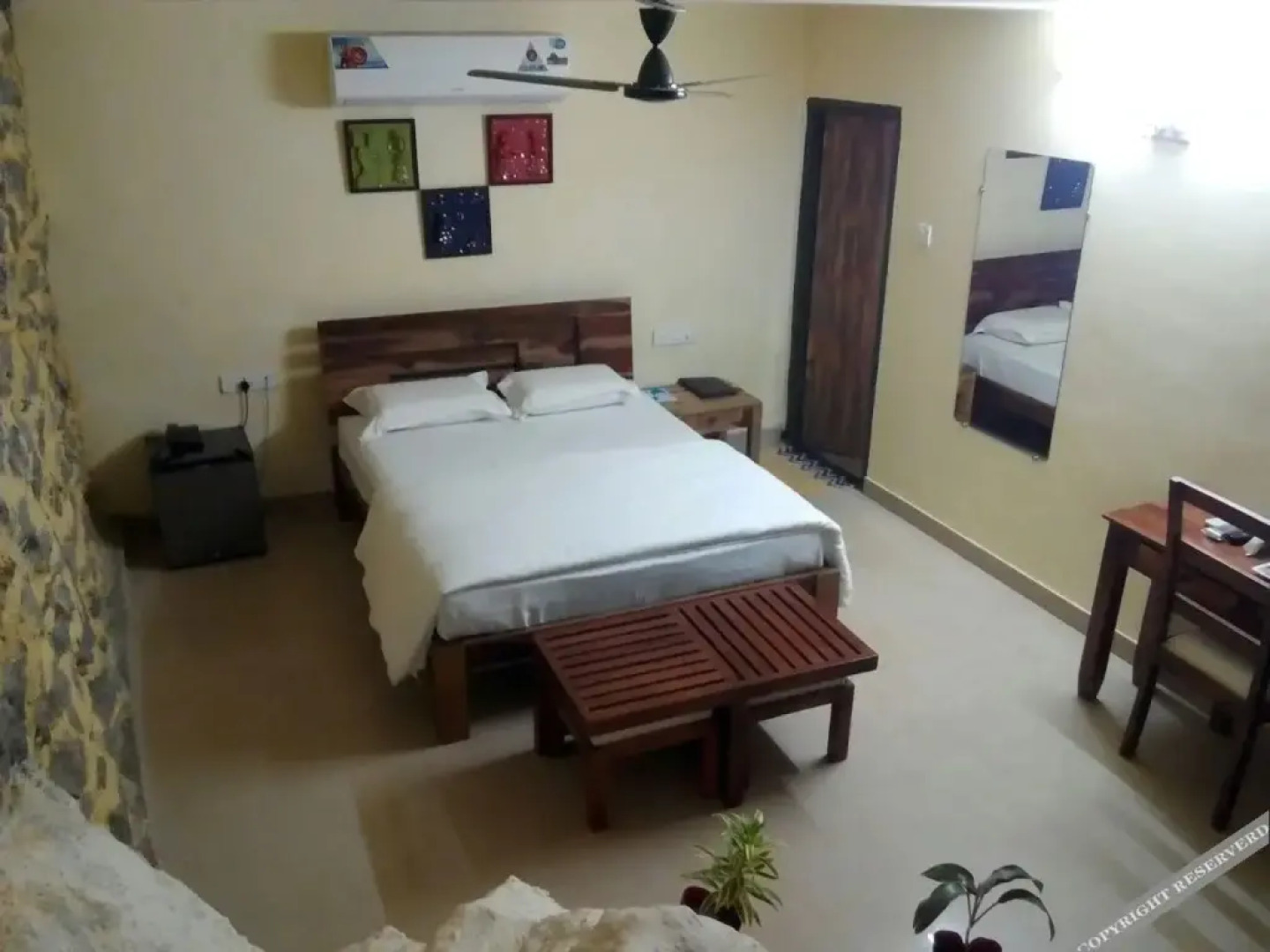 The Space Jungle Retreat