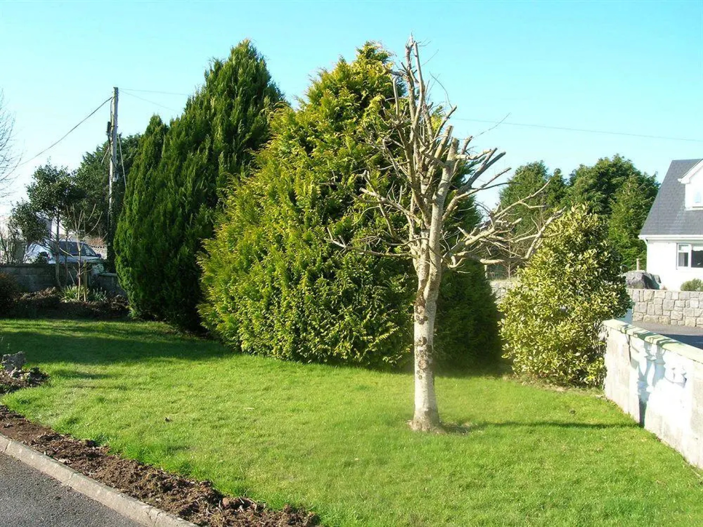 Meadowfield Bed And Breakfast
