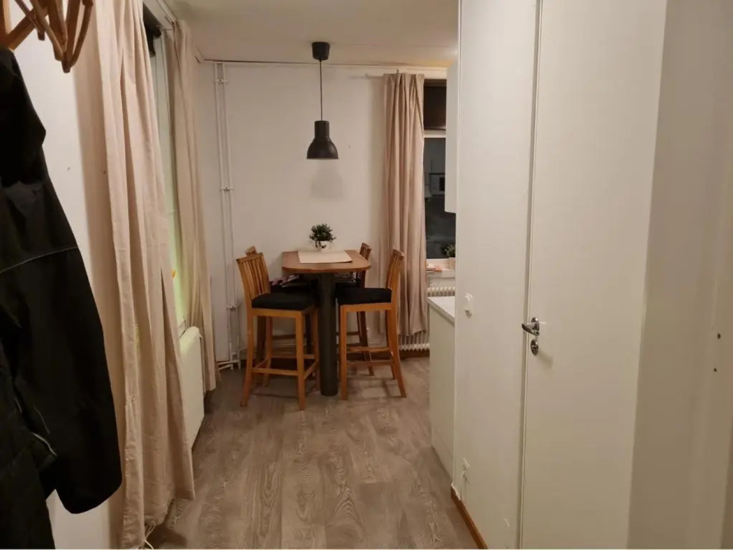 Mysig lägenhet med ett rum och kök 1103