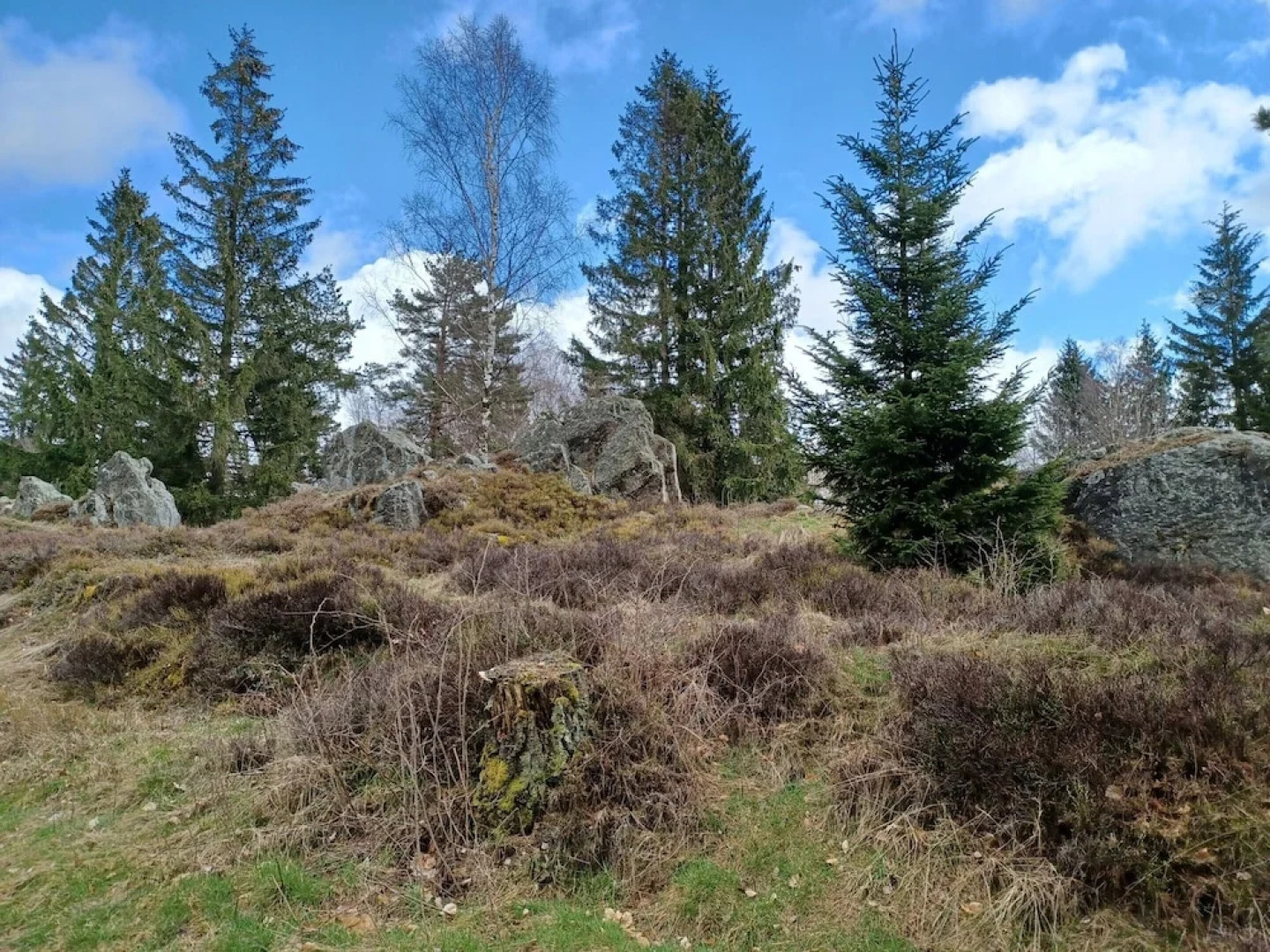 Schones Ferienhaus mit Grossem Garten bei Stadlern