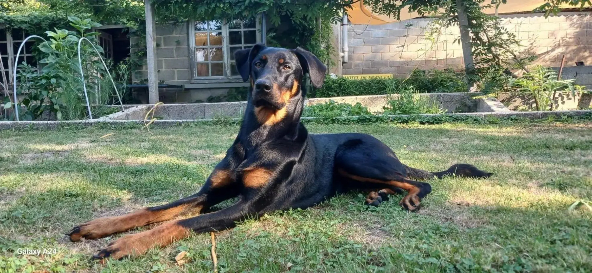 Hôtel De France Restaurant Grill - Domfront