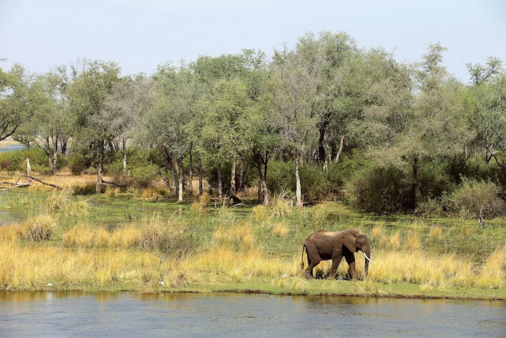 Amanzi Camp - All Inclusive