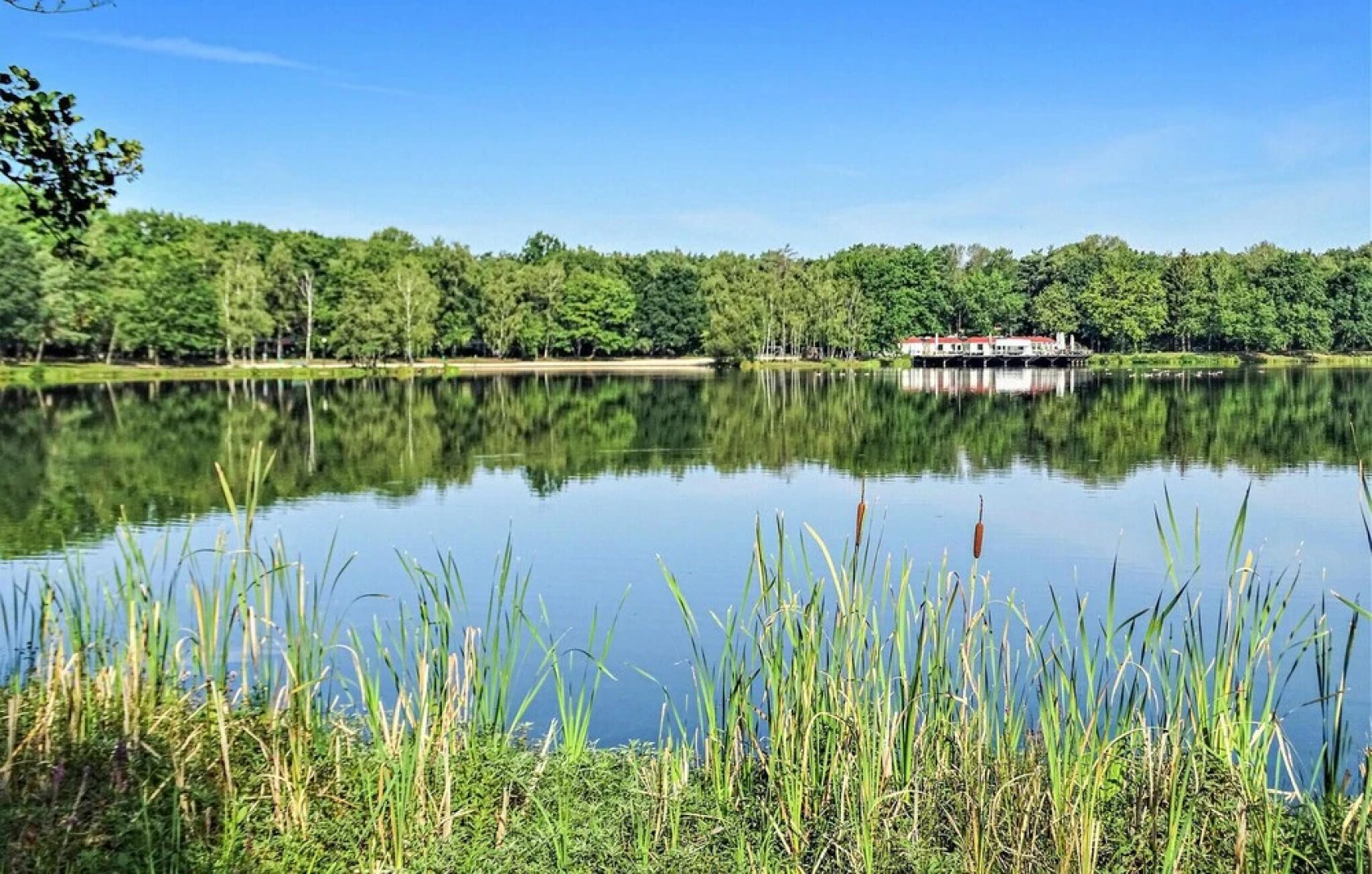 Awesome Home in Rekem-lanaken With 1 Bedrooms and Wifi