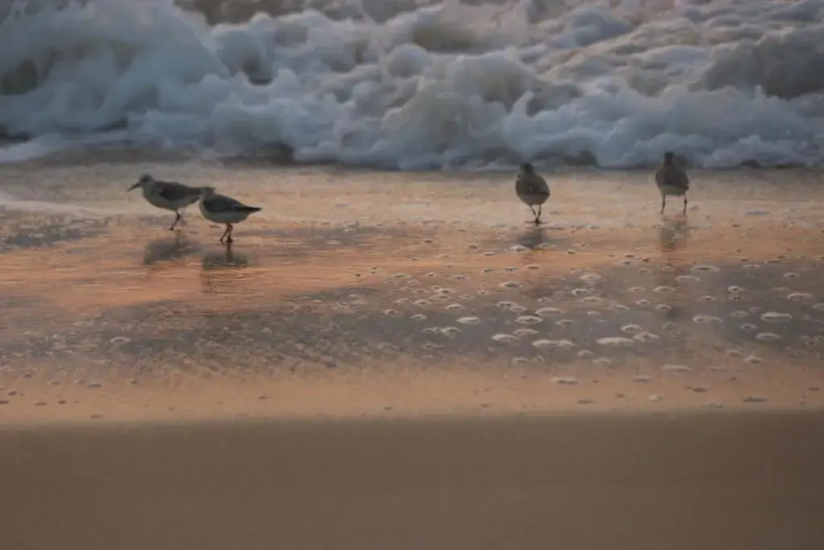 Marari Edens Sea View House