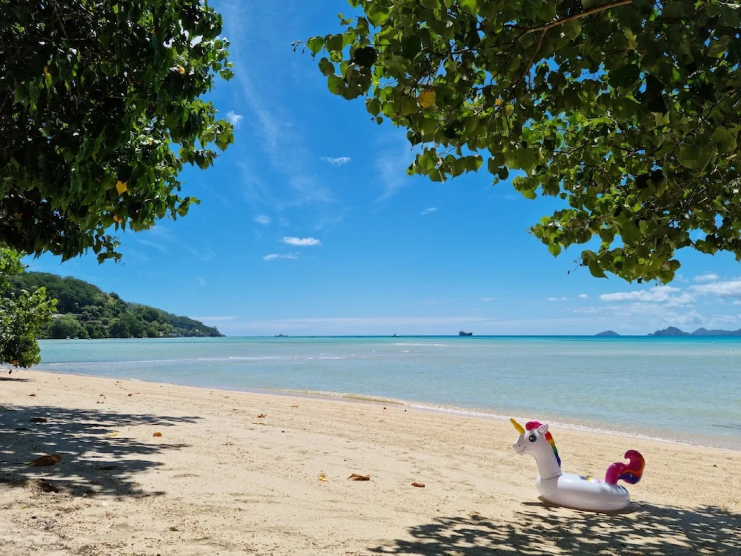 Anse Soleil Resort Self Catering