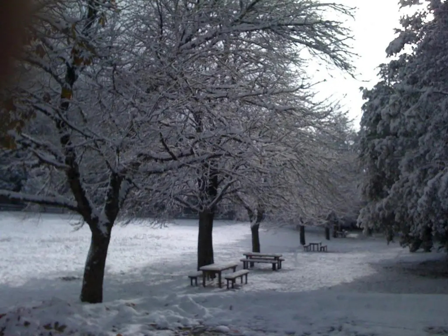 Albergo Ristorante Ferretti