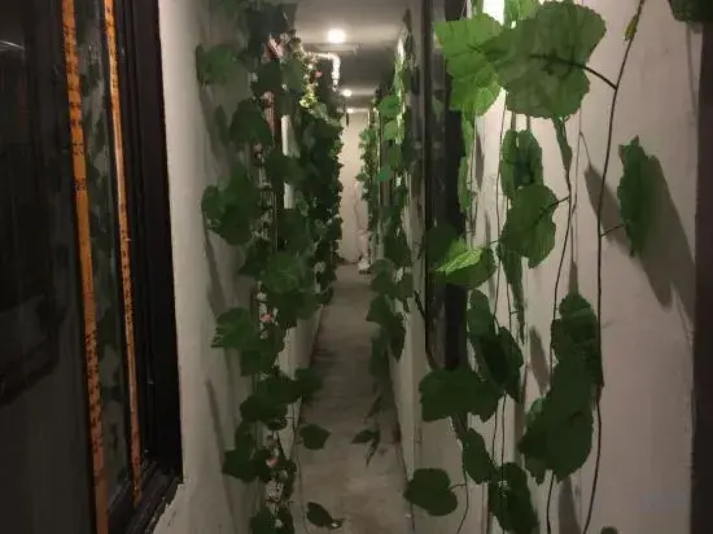 Pod Inn (Shanghai Ruijin Hospital Dapuqiao Metro Station)