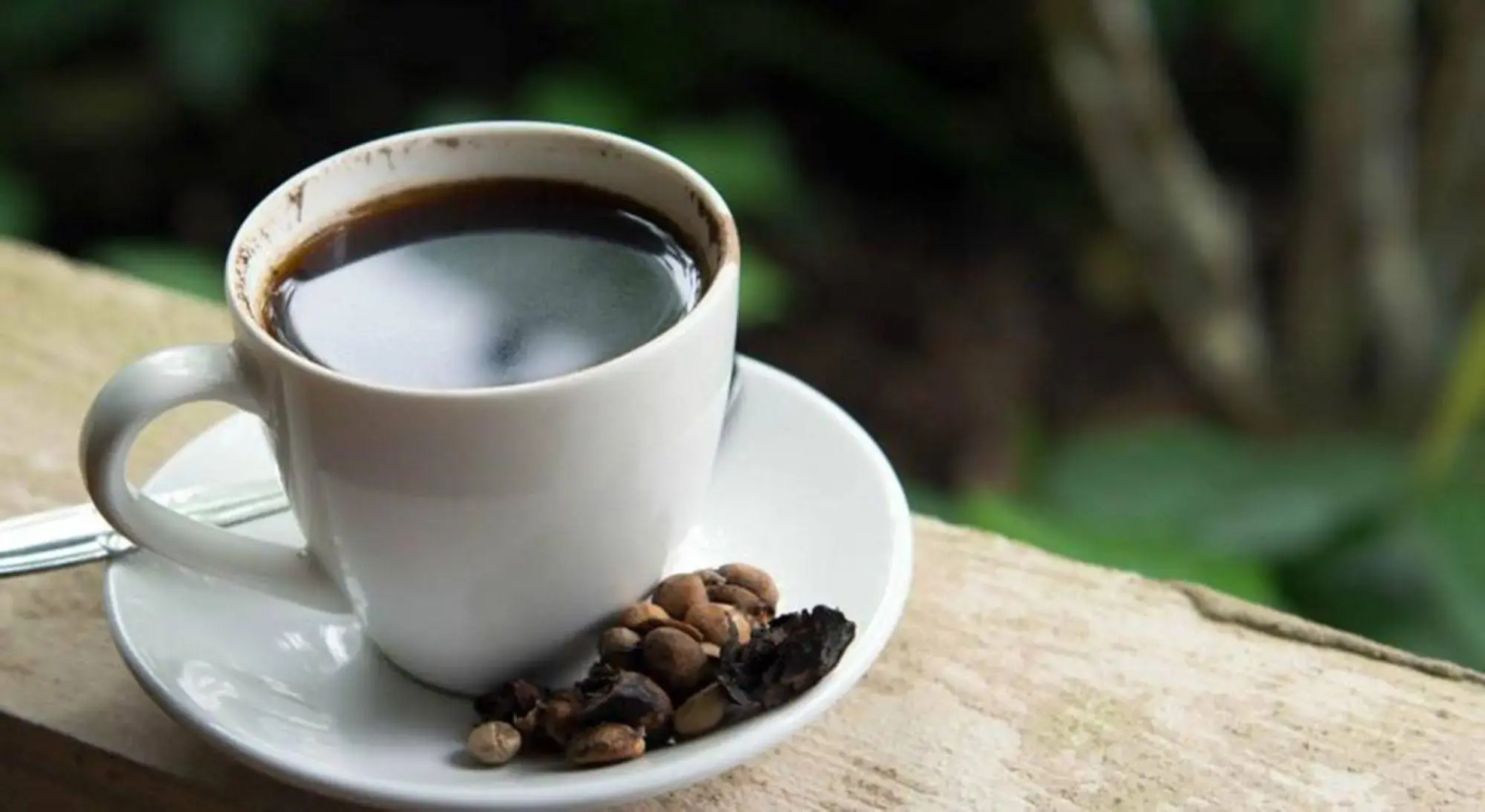 The Kanjeng Suite & Villa Sanur