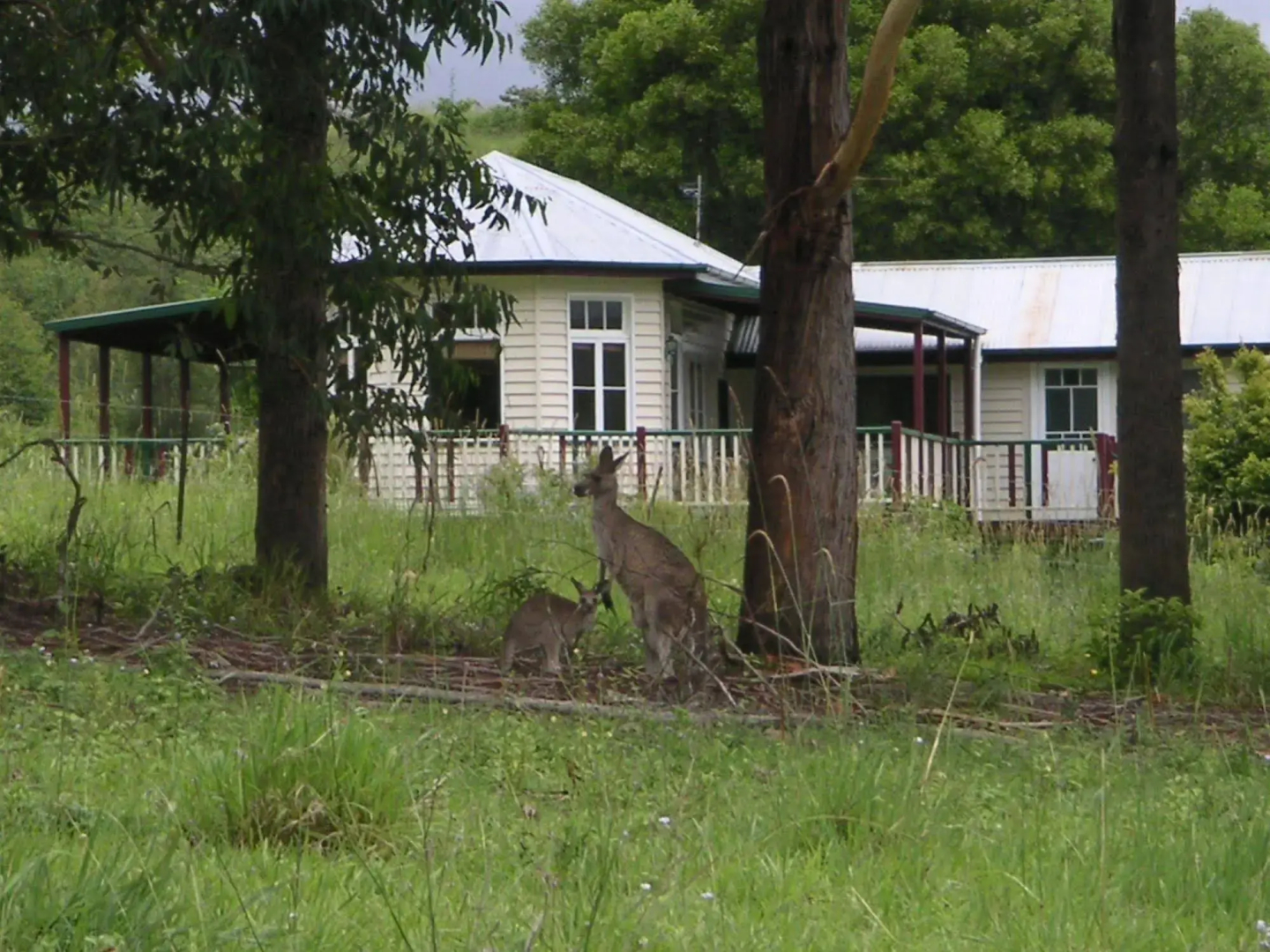 Отель Noosa Pomona Retreat
