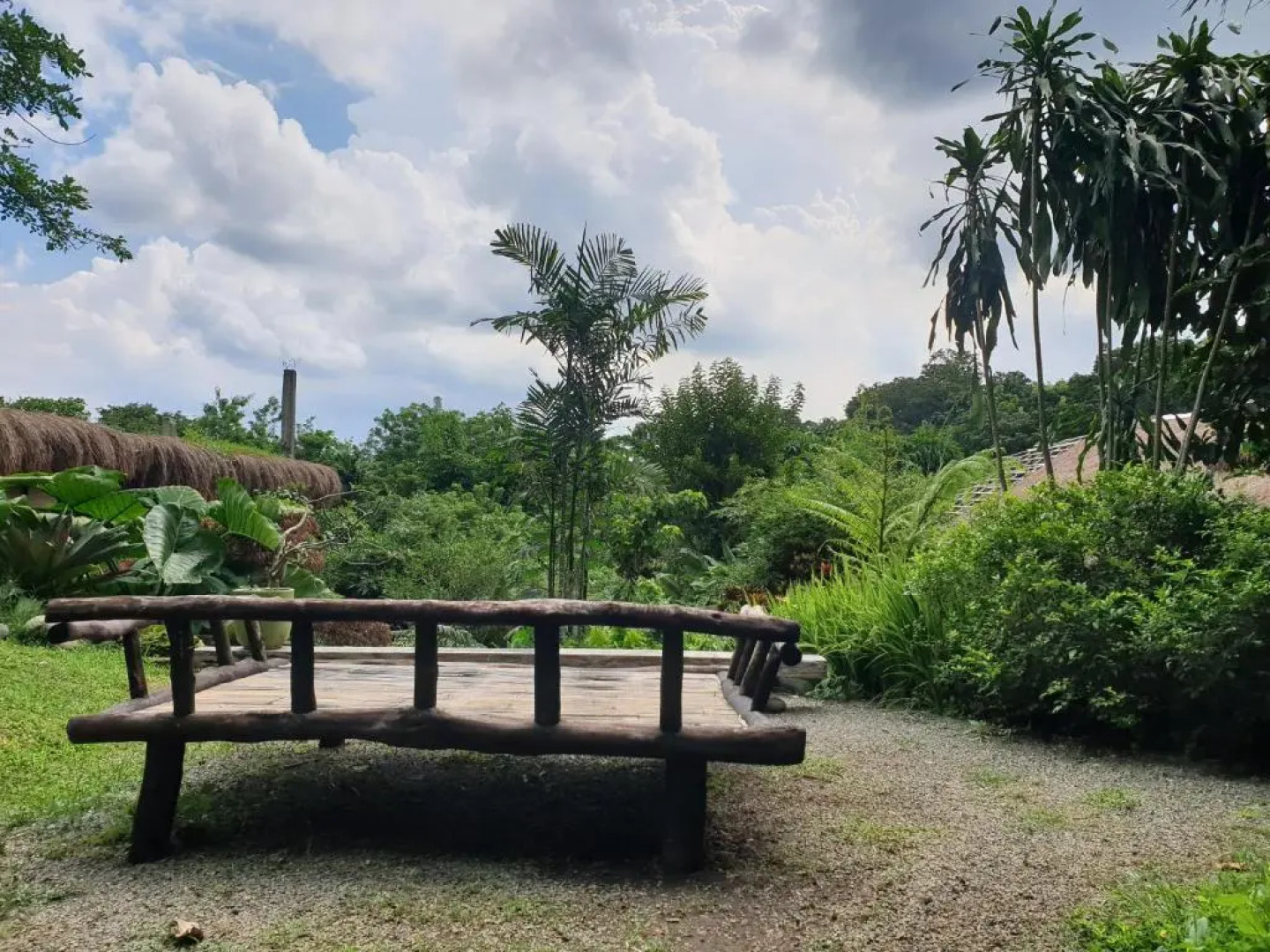 Maka-Kalinaw 5 Wabi sabi Room, Forest Deck View