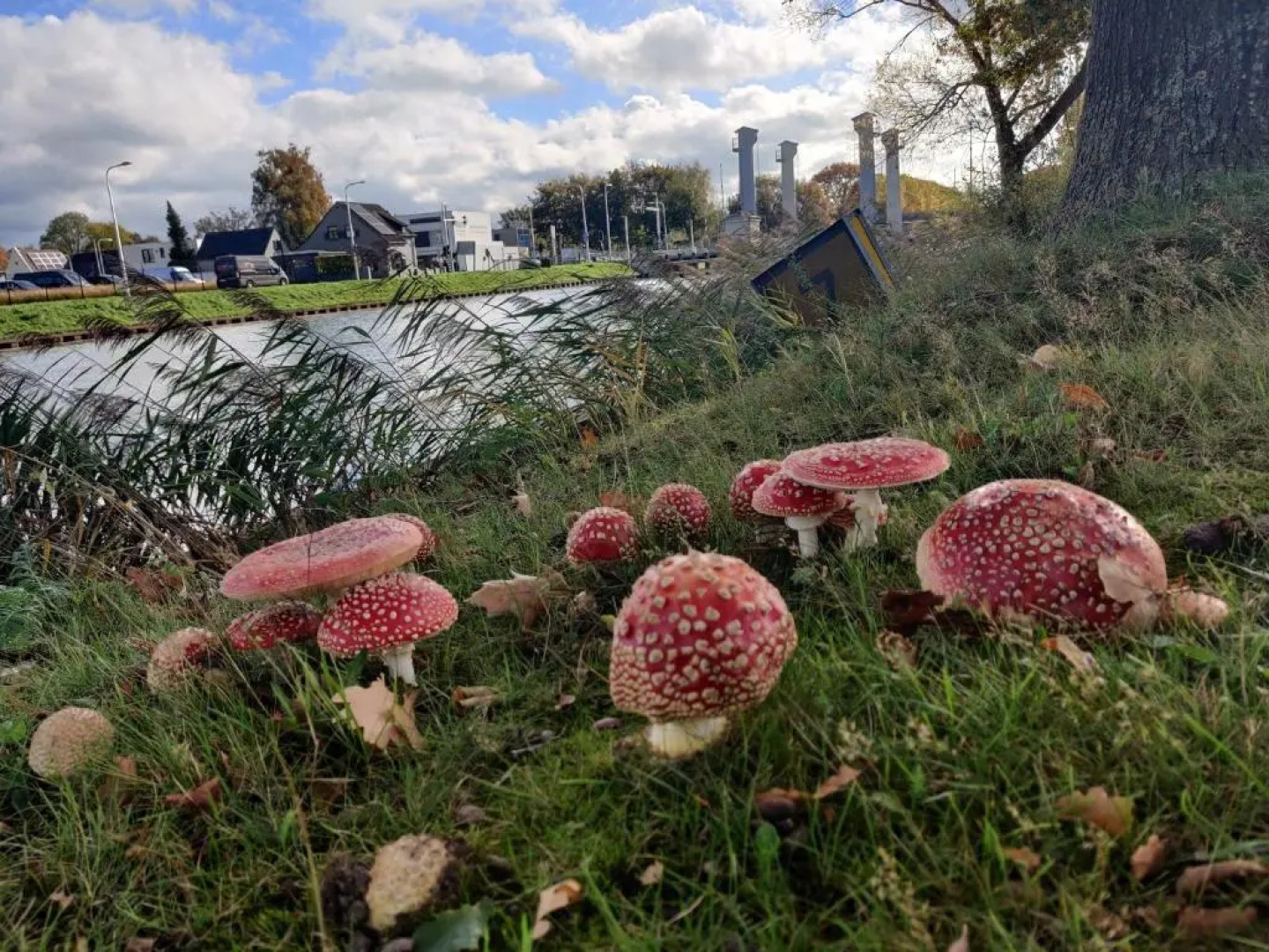 EcoWellness aan paradijslijke tuin met privé sauna